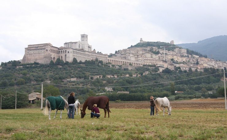 Assisi Endurance Lifestyle Preparazione