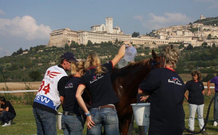 Assisi Endurance Lifestyle Recupero